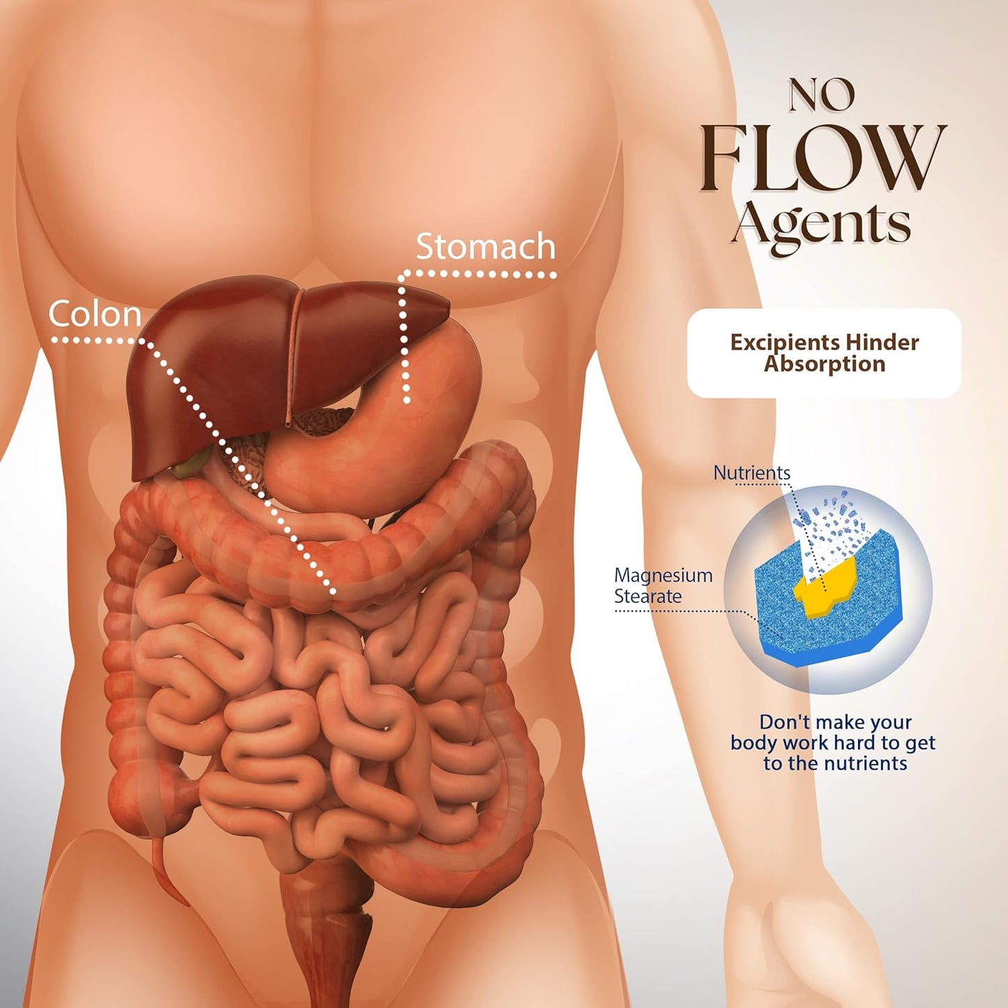 Potent Anti-Fungal Candida Cleanse by Dr. Clark Store