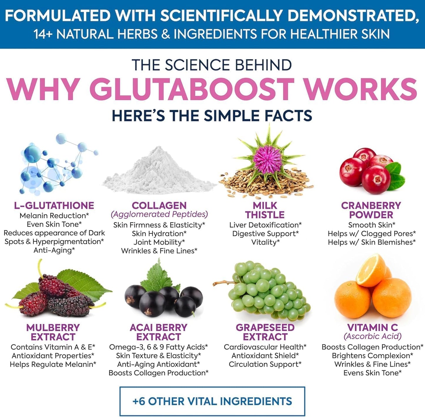 Powerful Glutathione Powder with Collagen & Vitamin C | Anti-Aging & Skin Brightening Formula | Immune, Gut & Liver Support | Dr. Martin's Nutrition