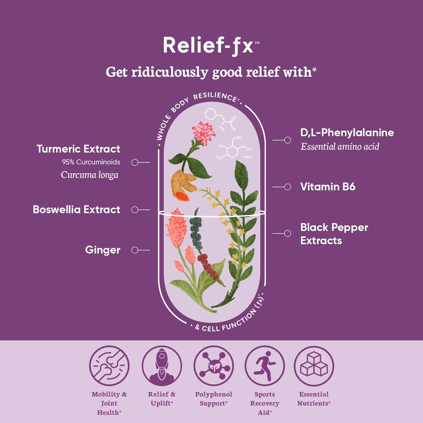 PPO Lab BioAssist Immune FX, Relief FX, and Brain FX Starter Kit - Boost Your Immune System, Relieve Pain, and Enhance Brain Function