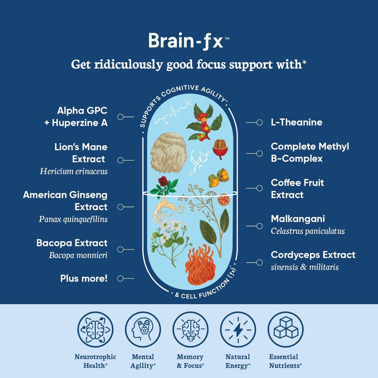 PPO Lab BioAssist Immune FX, Relief FX, and Brain FX Starter Kit - Boost Your Immune System, Relieve Pain, and Enhance Brain Function