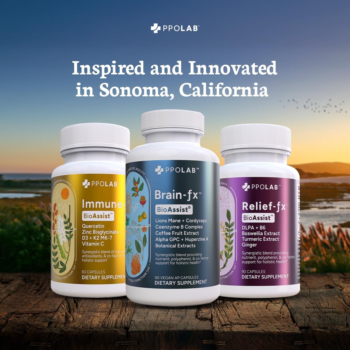 PPO Lab BioAssist Immune FX, Relief FX, and Brain FX Starter Kit - Boost Your Immune System, Relieve Pain, and Enhance Brain Function