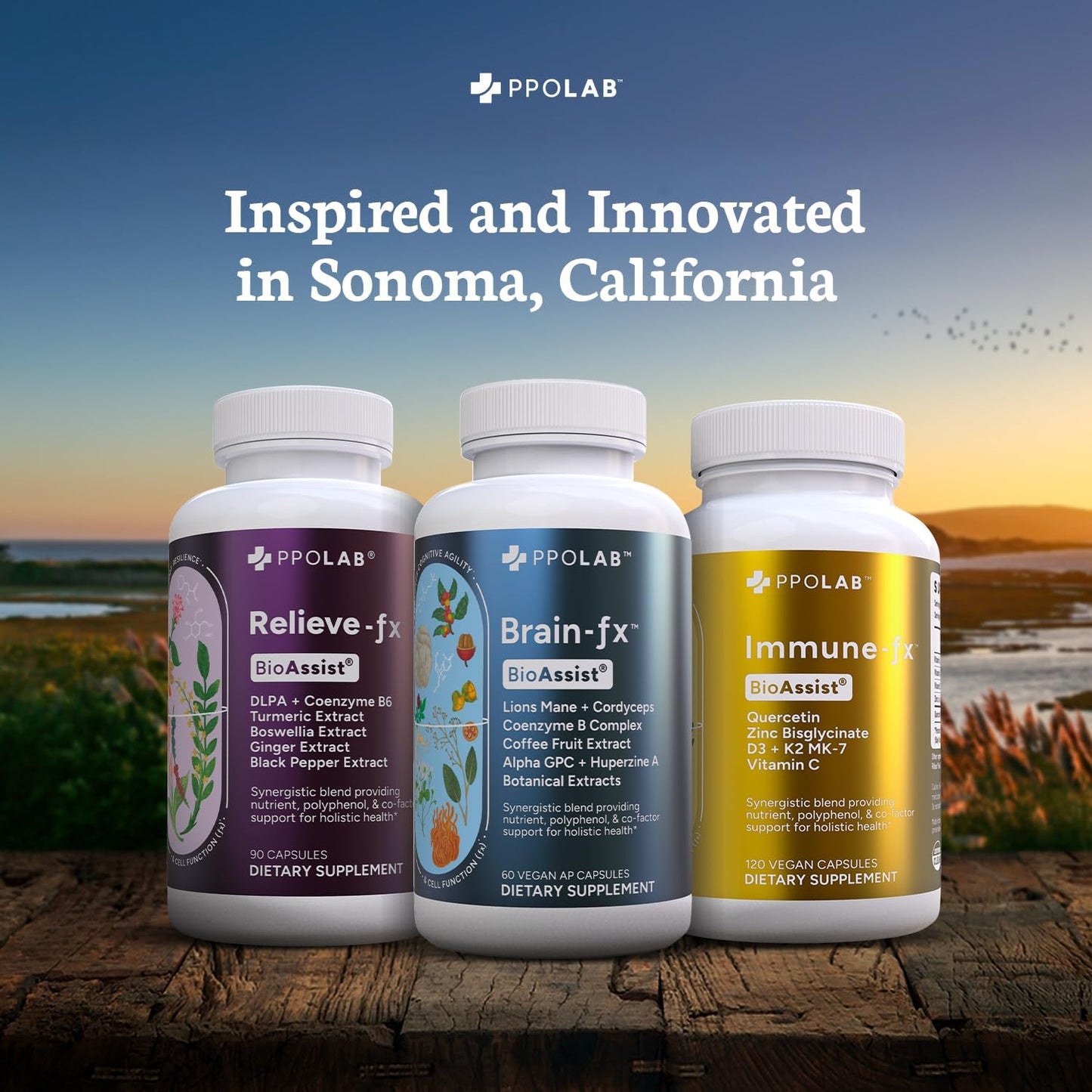 PPO Lab BioAssist® Relieve-Fx + Immune-fx Supplement for Joint Relief, Detox, and Immune Support - Clean Certified® & Non-GMO