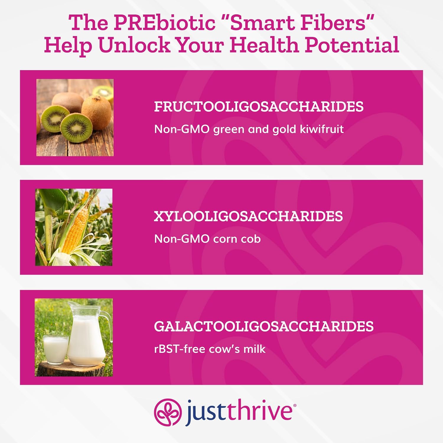 PREbiotic Powder for Digestive & Immune Support - 150g Supplement by Just Thrive - BoostGo Australia
