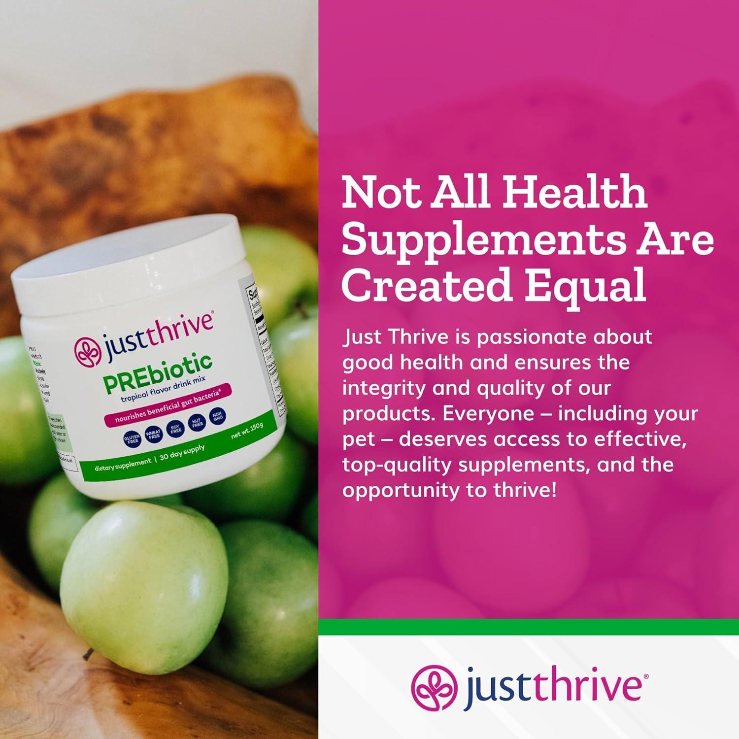PREbiotic Powder for Digestive & Immune Support - 150g Supplement by Just Thrive - BoostGo Australia