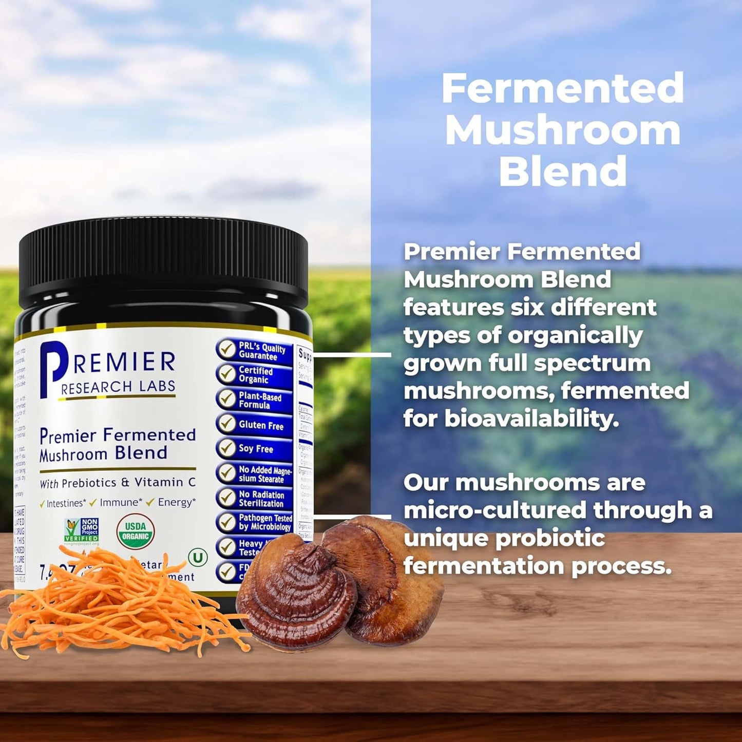 Premier Fermented Mushroom Blend with Reishi & Turkey Tail for Immune & Gut Health - 7.4 oz