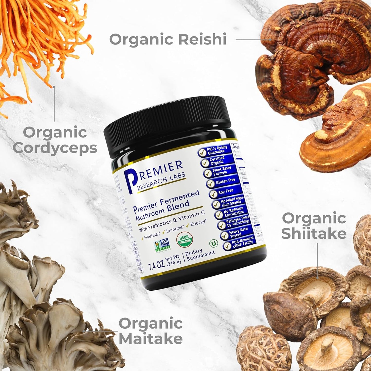 Premier Fermented Mushroom Blend with Reishi & Turkey Tail for Immune & Gut Health - 7.4 oz