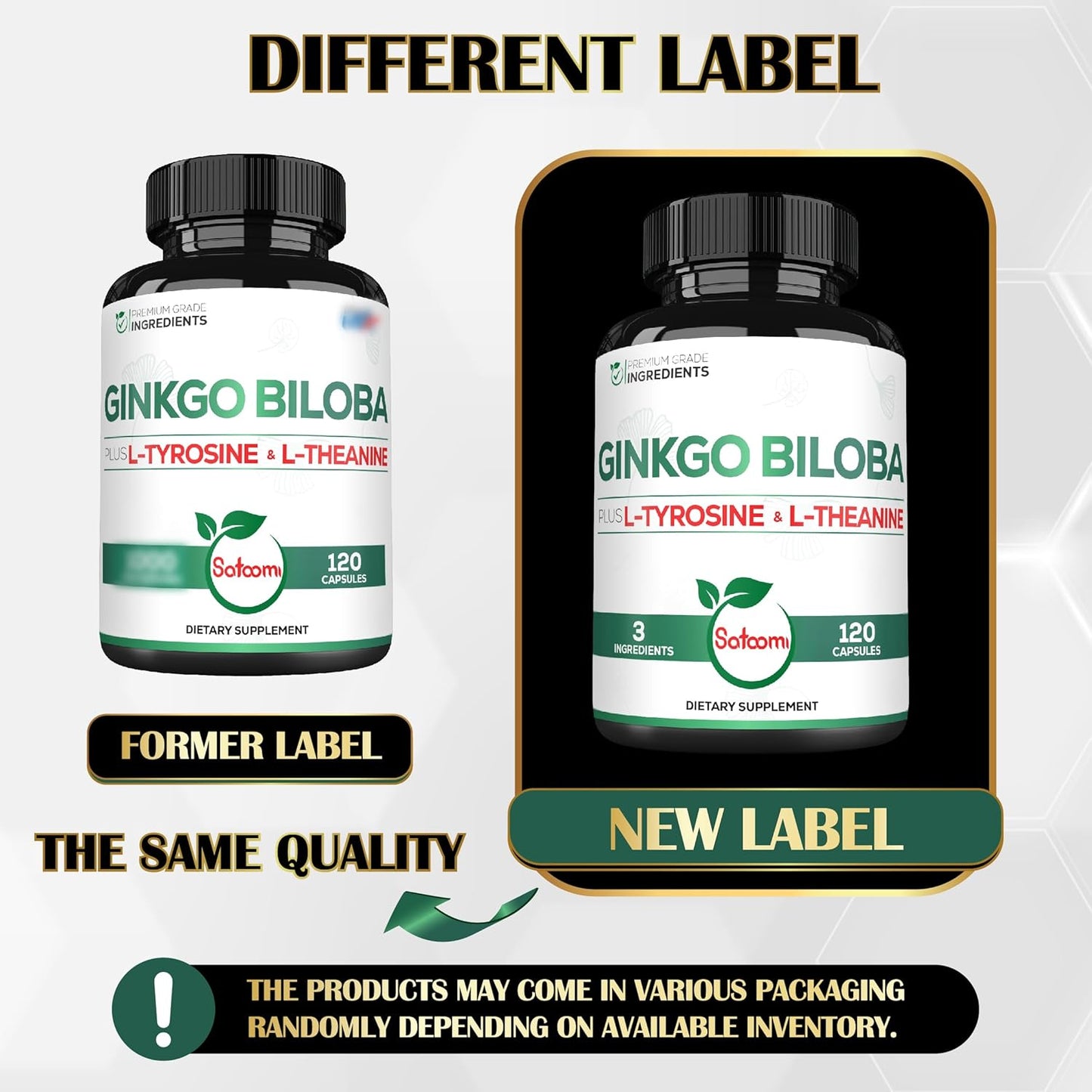 Premium 1000mg Ginkgo Biloba Capsules with L-Tyrosine and L-Theanine - 2-Month Supply for Focus, Memory, Brain Health, and Vision - Satoomi Supplement