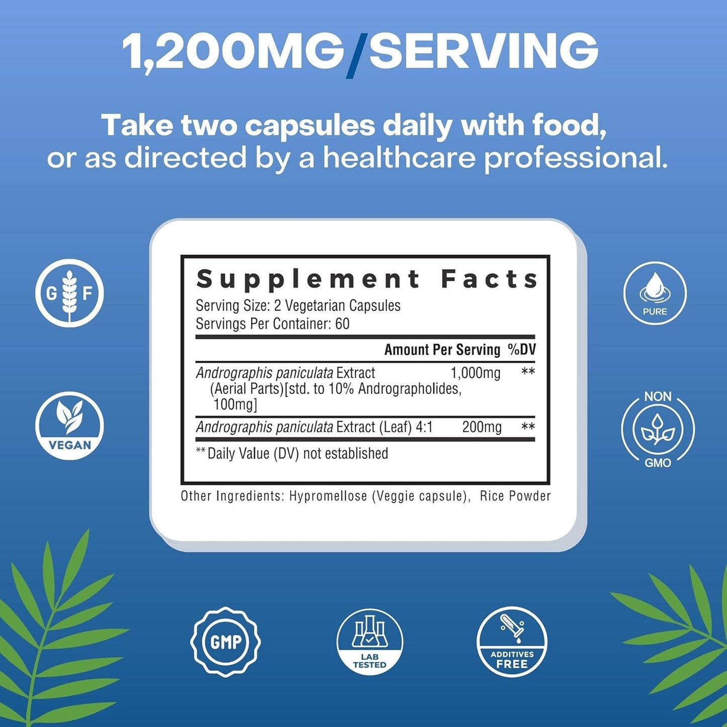 Premium Andrographis Paniculata Extract Capsules - 1,200mg (100mg Andrographolides) - Non-GMO, Vegan, Gluten Free - 120 Count