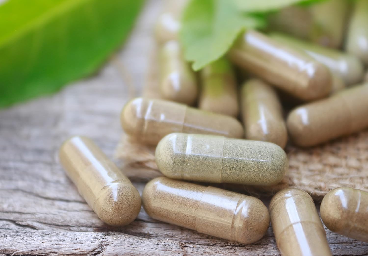 Premium Andrographis Paniculata Extract Capsules - 400mg | 60 Count | Herbalist Formulated