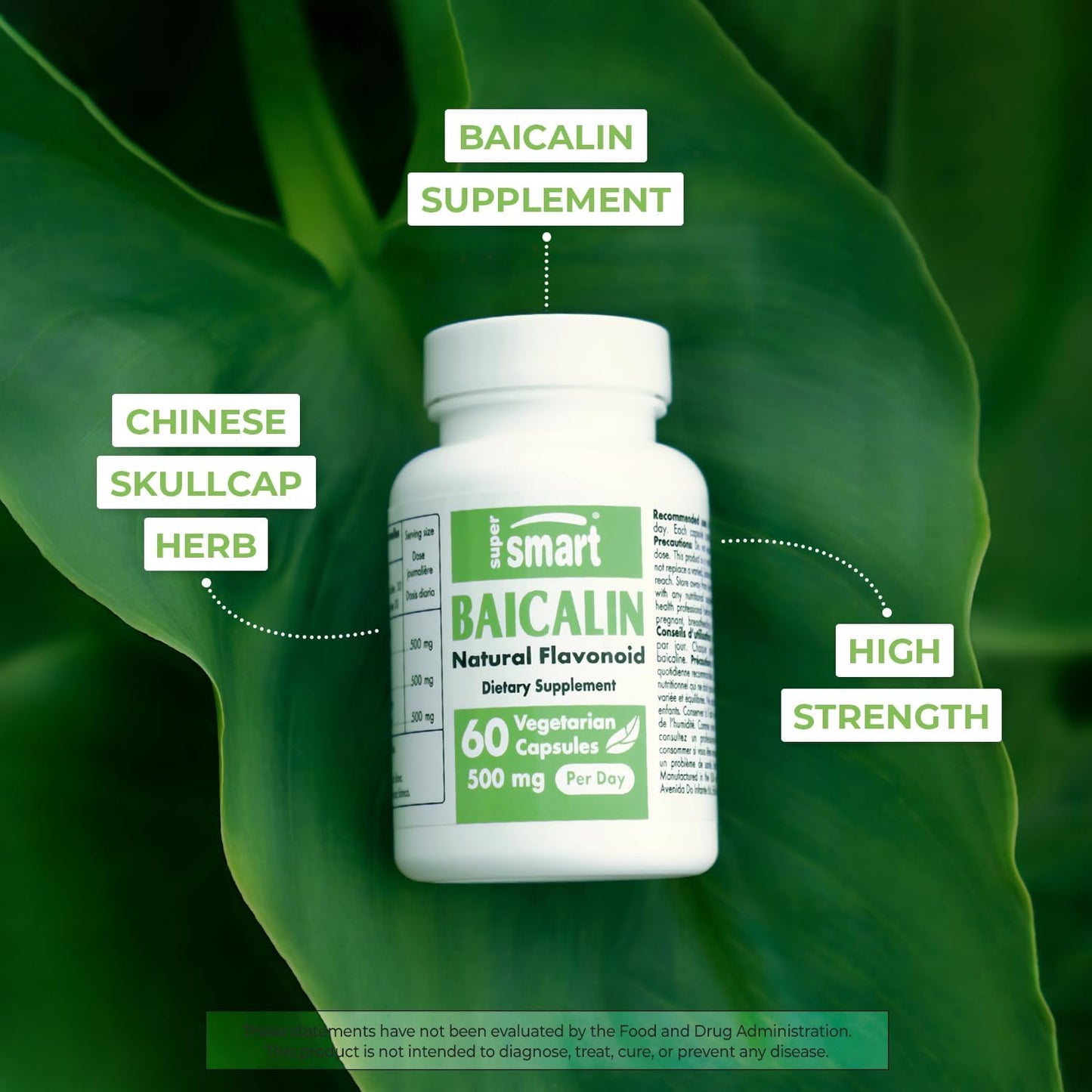 Premium Baicalin Supplement - 500mg Daily Chinese Skullcap Extract Capsules - Non-GMO & Gluten Free - 60 Veg Caps