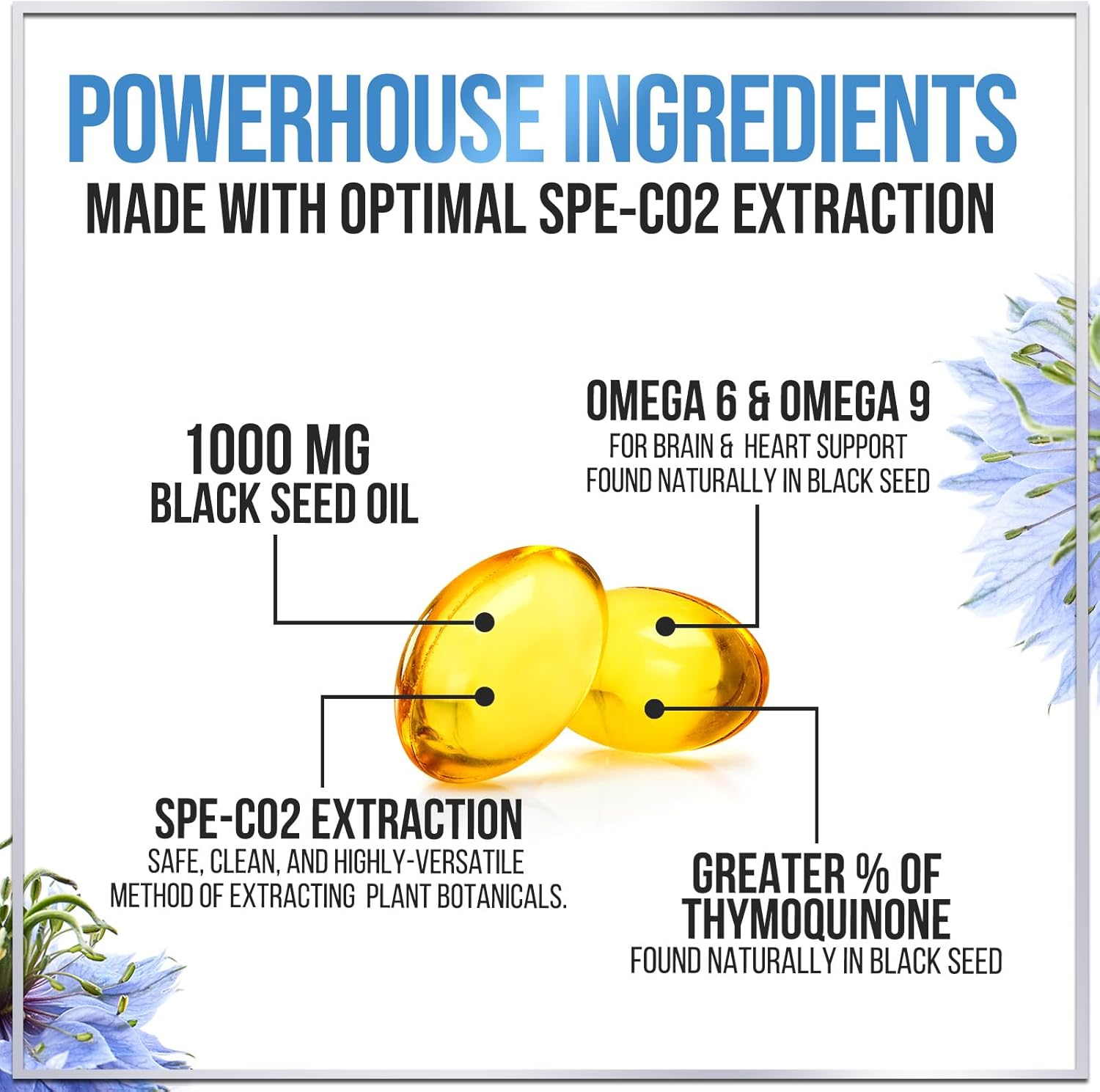 Premium Black Seed Oil Capsules 1000mg - Immune & Skin Support, Non-GMO & Vegan - 120 Softgels