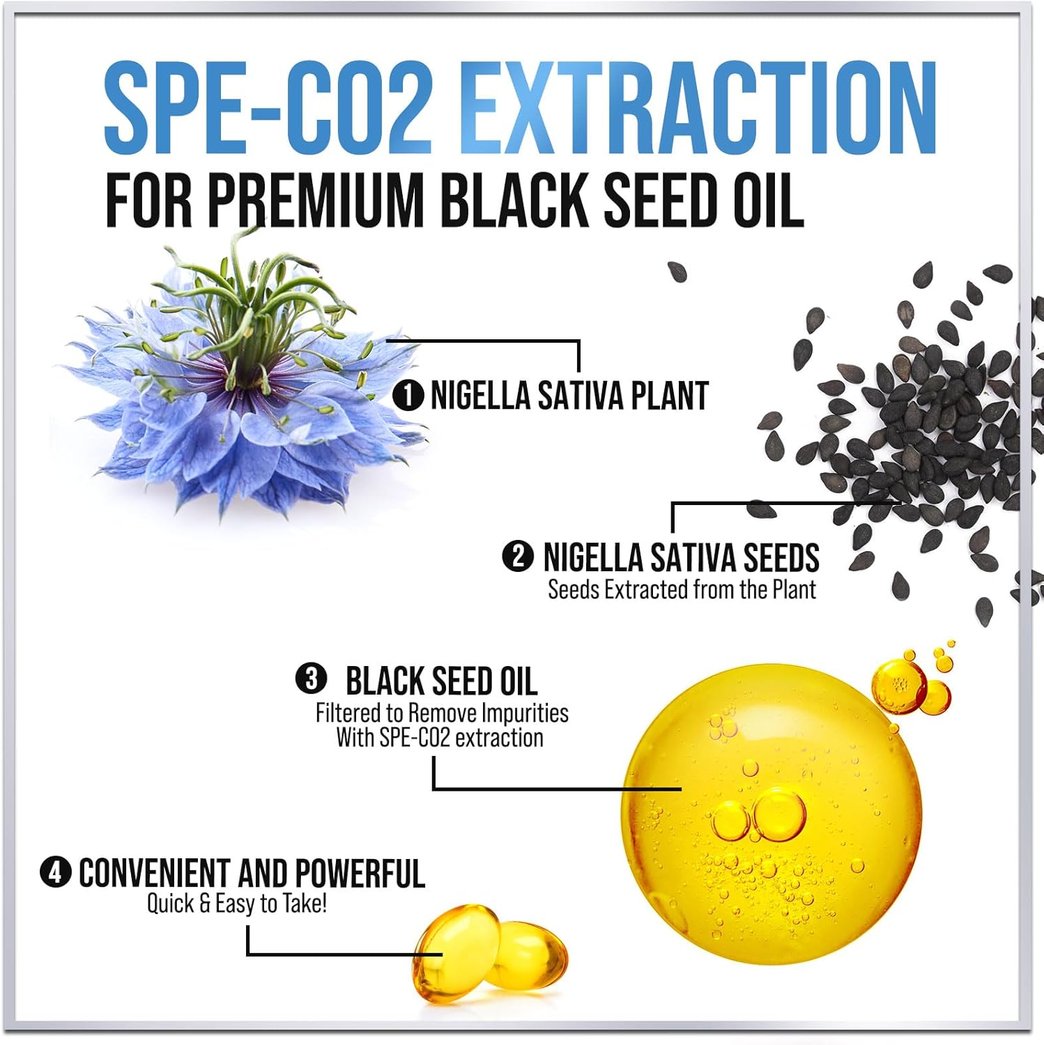 Premium Black Seed Oil Capsules 1000mg - Immune & Skin Support, Non-GMO & Vegan - 120 Softgels