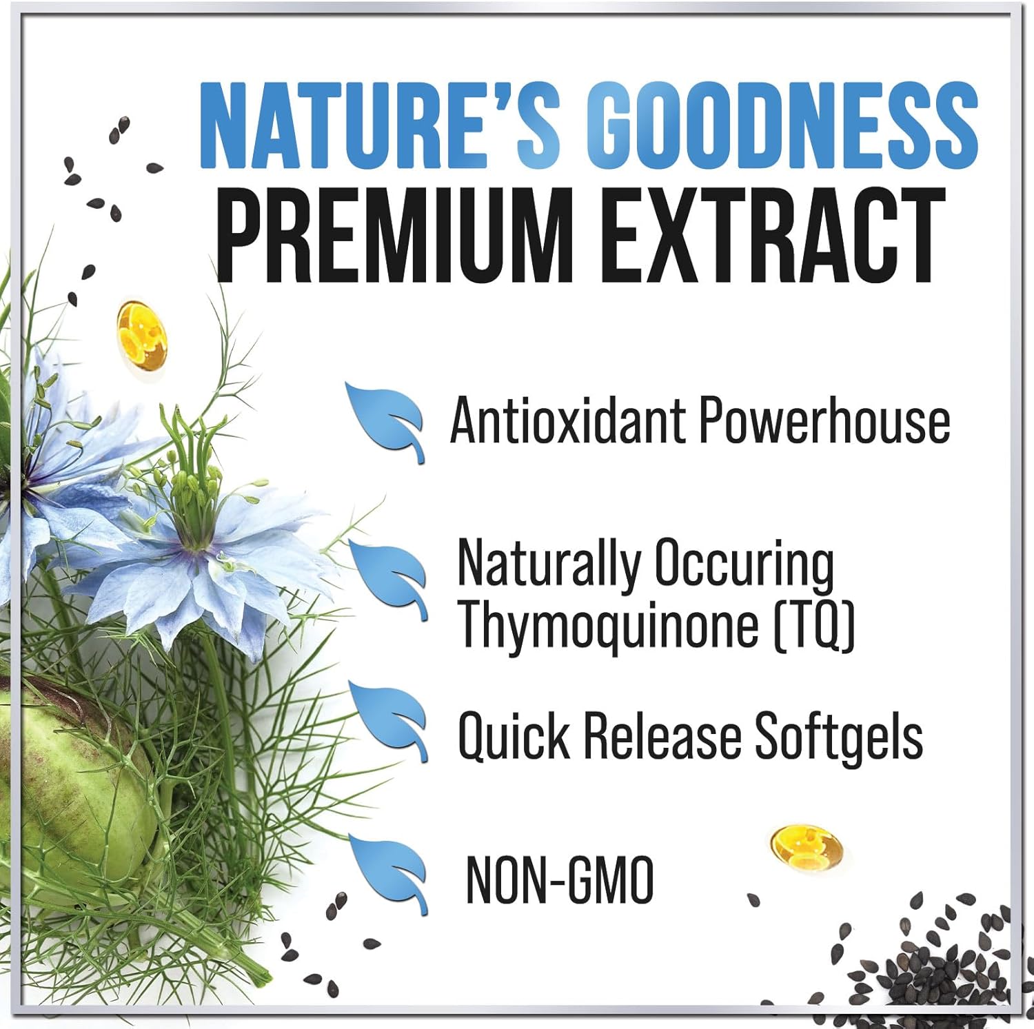 Premium Black Seed Oil Capsules 1000mg - Immune & Skin Support, Non-GMO & Vegan - 120 Softgels