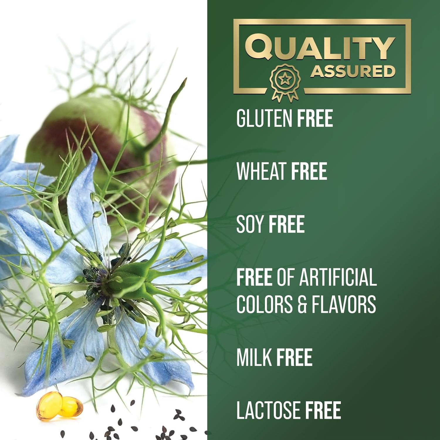 Premium Cold Pressed Black Seed Oil Softgels 1000mg - Pure Nigella Sativa Black Cumin Seed Oil for Skin & Immune Support - Non-GMO Antioxidant Supplement - 60 Softgels