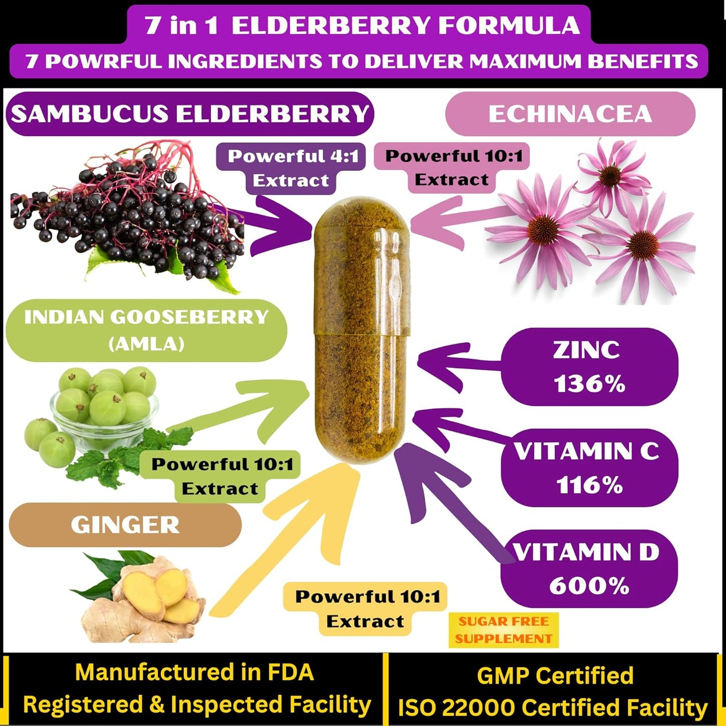 Premium Elderberry Capsules with Zinc, Vitamin C, D, Echinacea & Amla - 90 ct Vegan Non-GMO Supplement