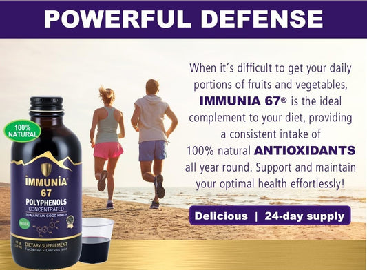 Premium Elderberry Concentrate Supplement with 67 Polyphenols & Antioxidant Fruits - 24-Day Supply (3-Pack)