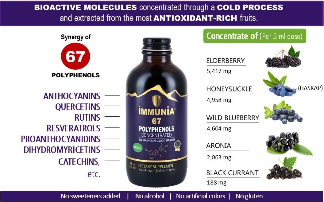 Premium Elderberry Concentrate Supplement with 67 Polyphenols & Antioxidant Fruits - 24-Day Supply (3-Pack)