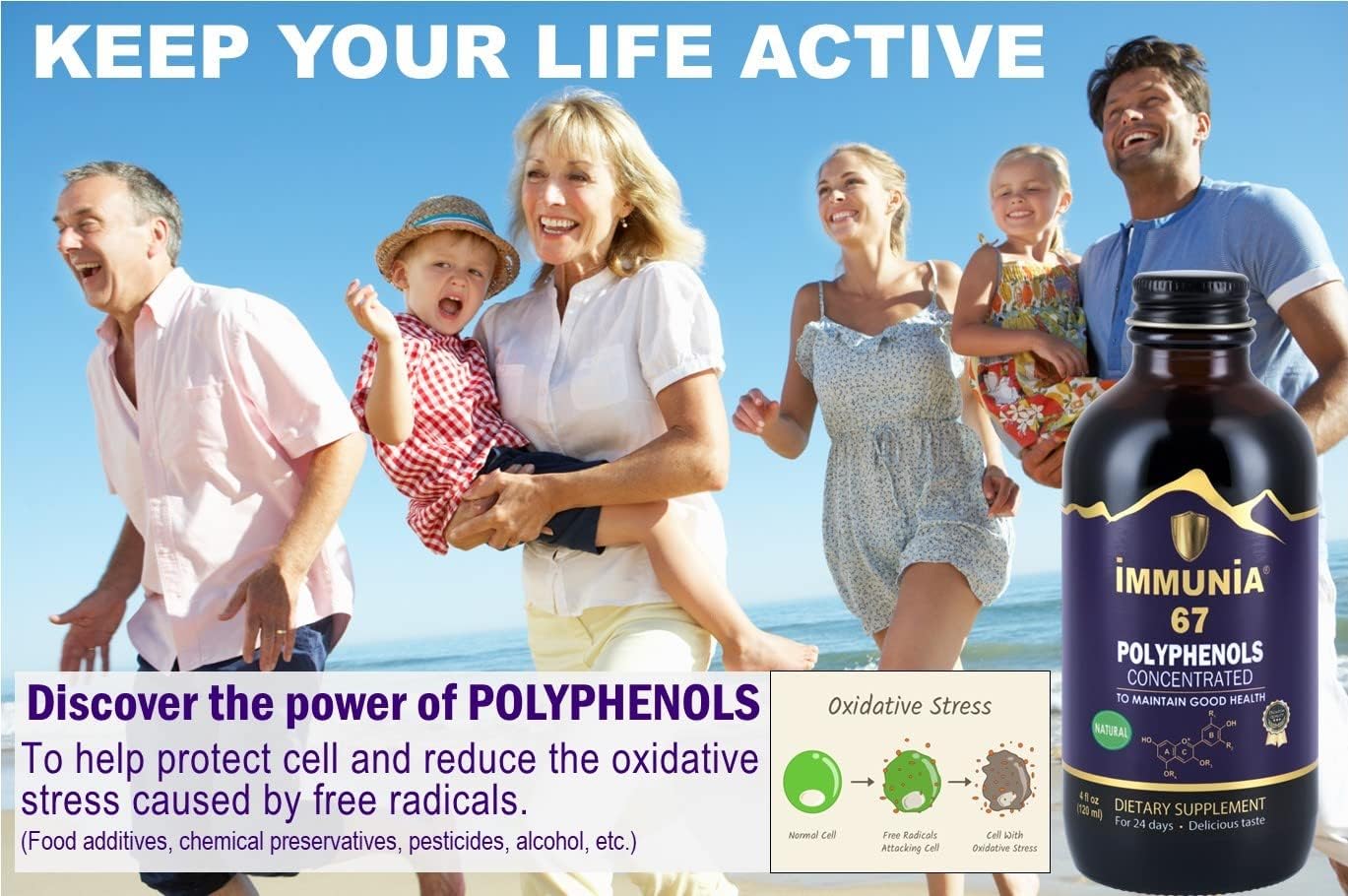 Premium Elderberry Concentrate Supplement with 67 Polyphenols & Antioxidant Fruits - 24-Day Supply (3-Pack)