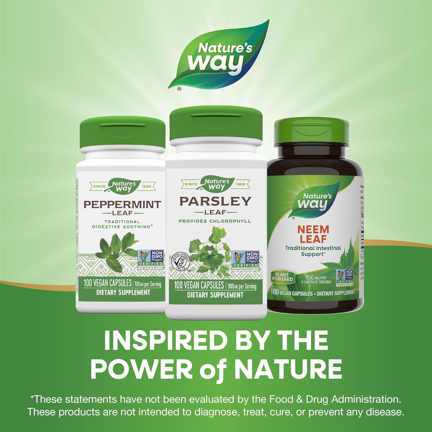 Premium Herbal Parsley Leaf Capsules - Rich in Chlorophyll, 100% Vegan Formula by Nature's Way