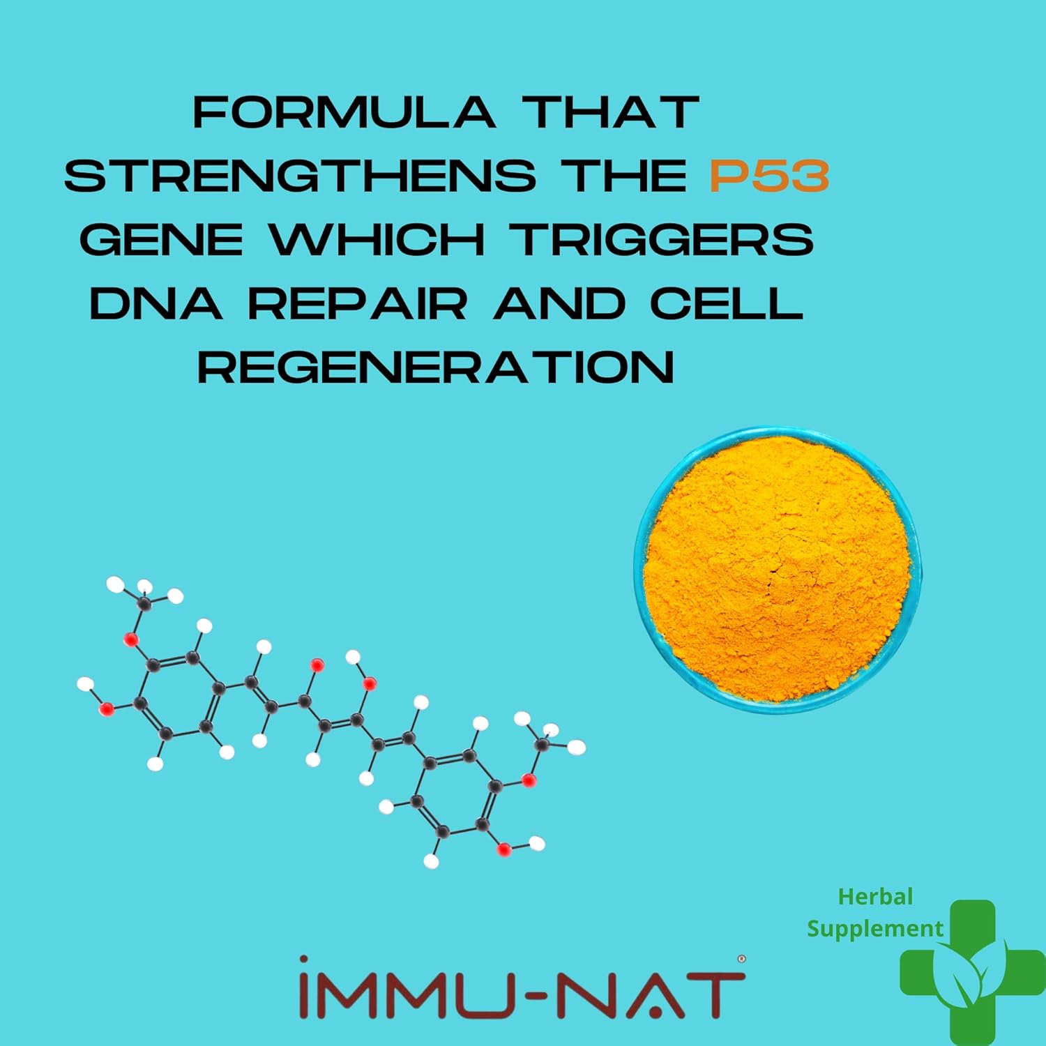 Premium Immune Support: Turmeric Curcumin-P53 Liquid Extract 8.5oz - Enhanced Absorption Herbal Supplement