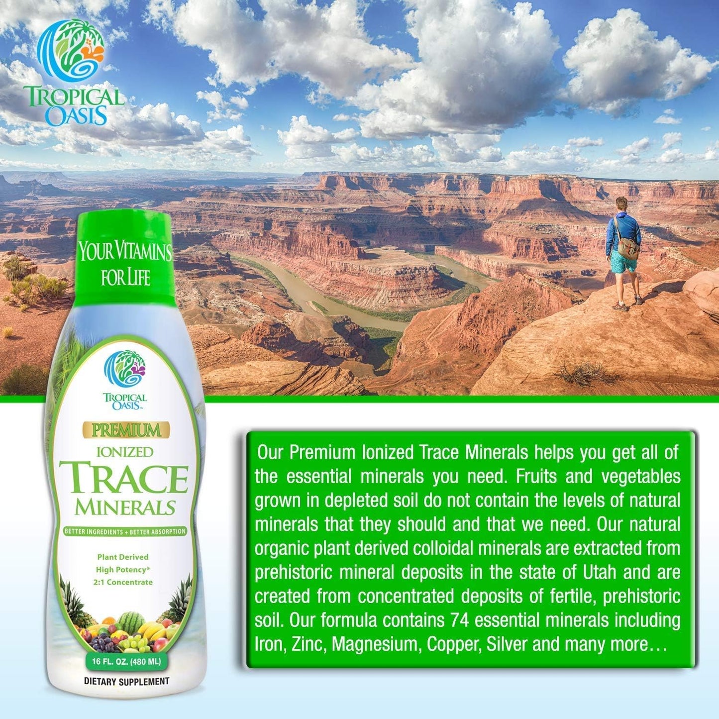 Premium Ionized Plant Based Trace Minerals Liquid Formula - 74 Essential Minerals for 96% Absorption - 16 oz Bottle