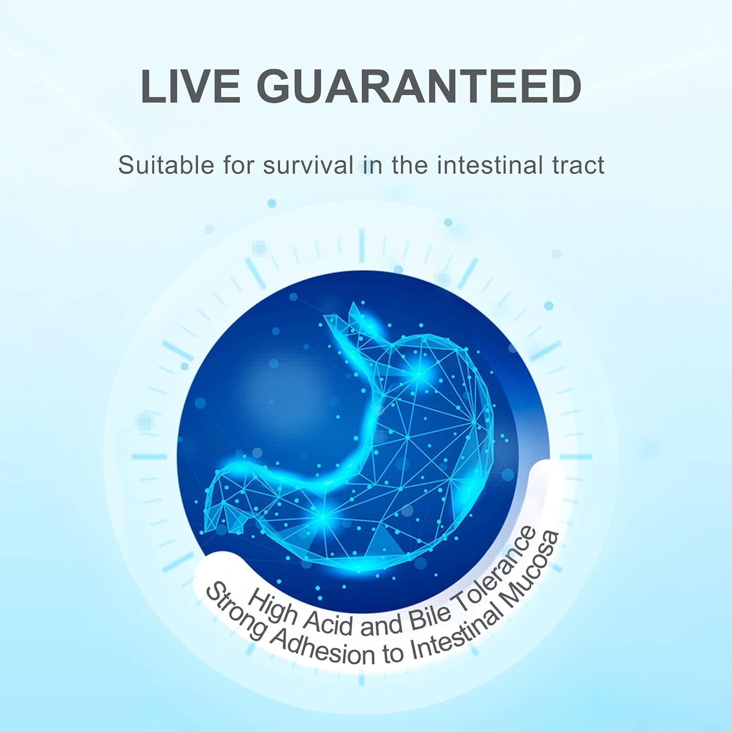 Premium Life-Space Probiotics: 32 Billion CFU, 15 Strains, Daily Digestive & Immune Support - Mini Bottle 30 Veg Capsules