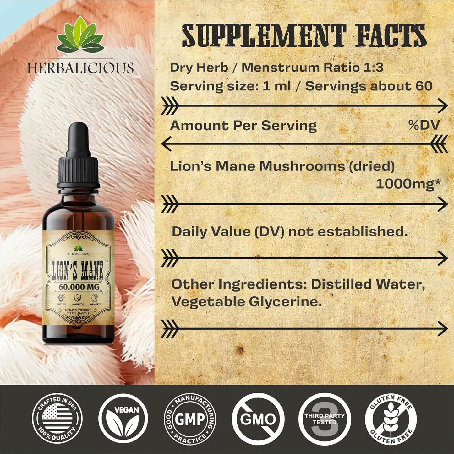 Premium Lion's Mane Liquid Mushroom Supplement for Memory, Focus, and Nerve Support - Non-GMO and Gluten-Free - 2 Fl Oz