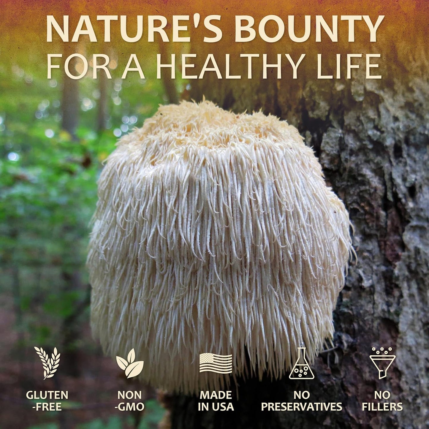 Premium Lion’s Mane Mushroom Supplement Capsules for Memory and Nerve Support - Non-Gluten, Non-GMO Focus Supplement - 500mg Lion’s Mane - 100 Capsules