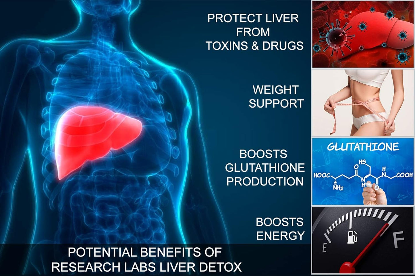 Premium Liver Detox Cleanse & Support with Milk Thistle, Beet, Dandelion - Doctor Recommended Research Labs Formula with 23 Powerful Herbs