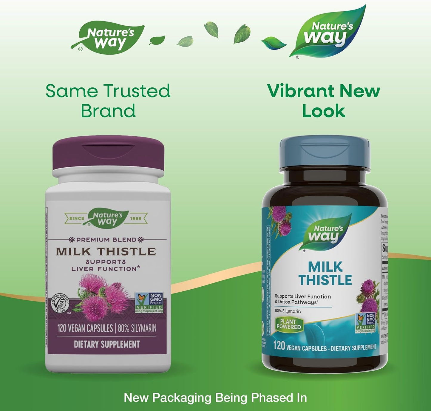 Premium Milk Thistle Blend with 80% Silymarin - 120 Capsules, Non-GMO Formula by Nature's Way