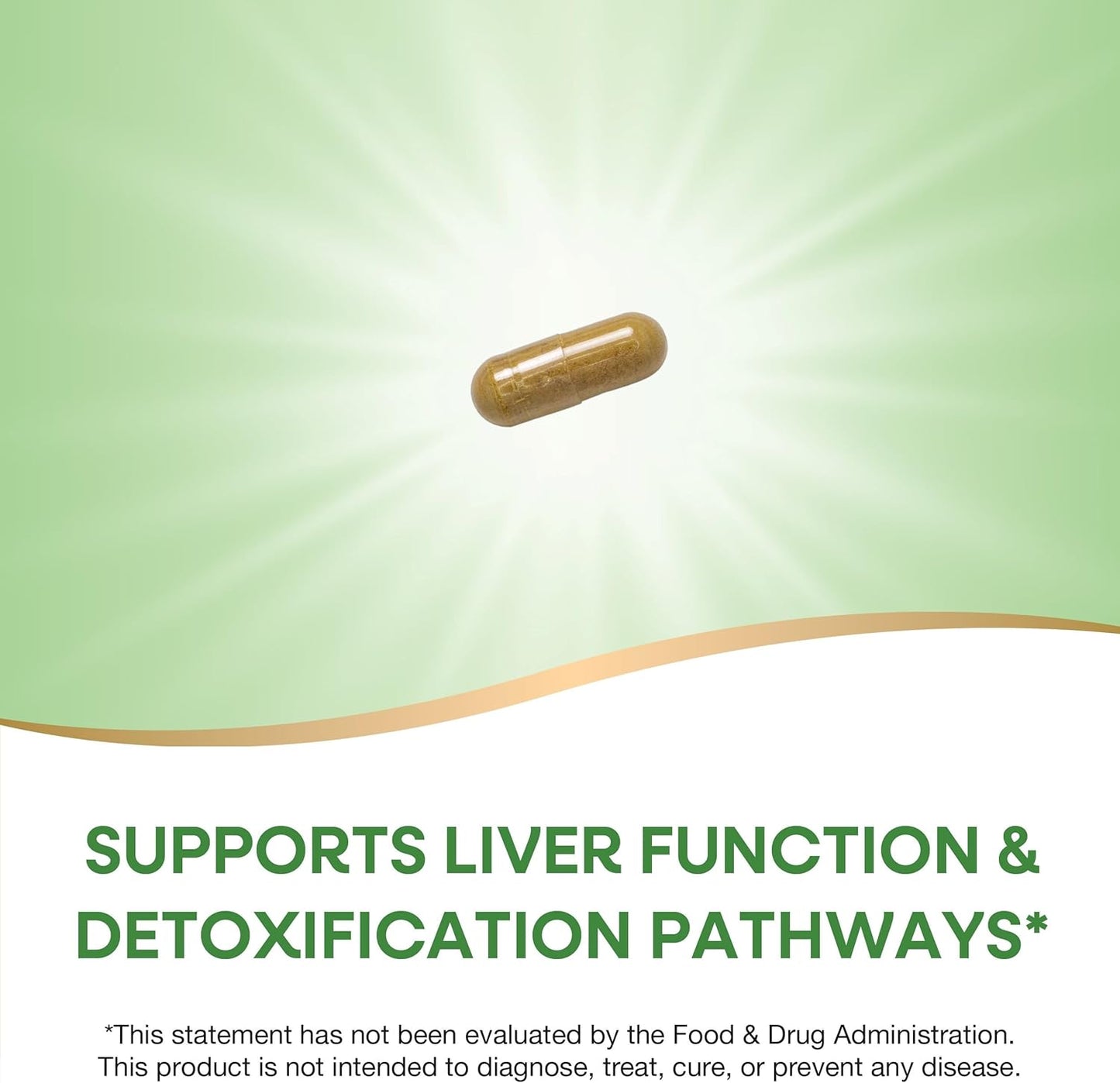 Premium Milk Thistle Blend with 80% Silymarin - 120 Capsules, Non-GMO Formula by Nature's Way