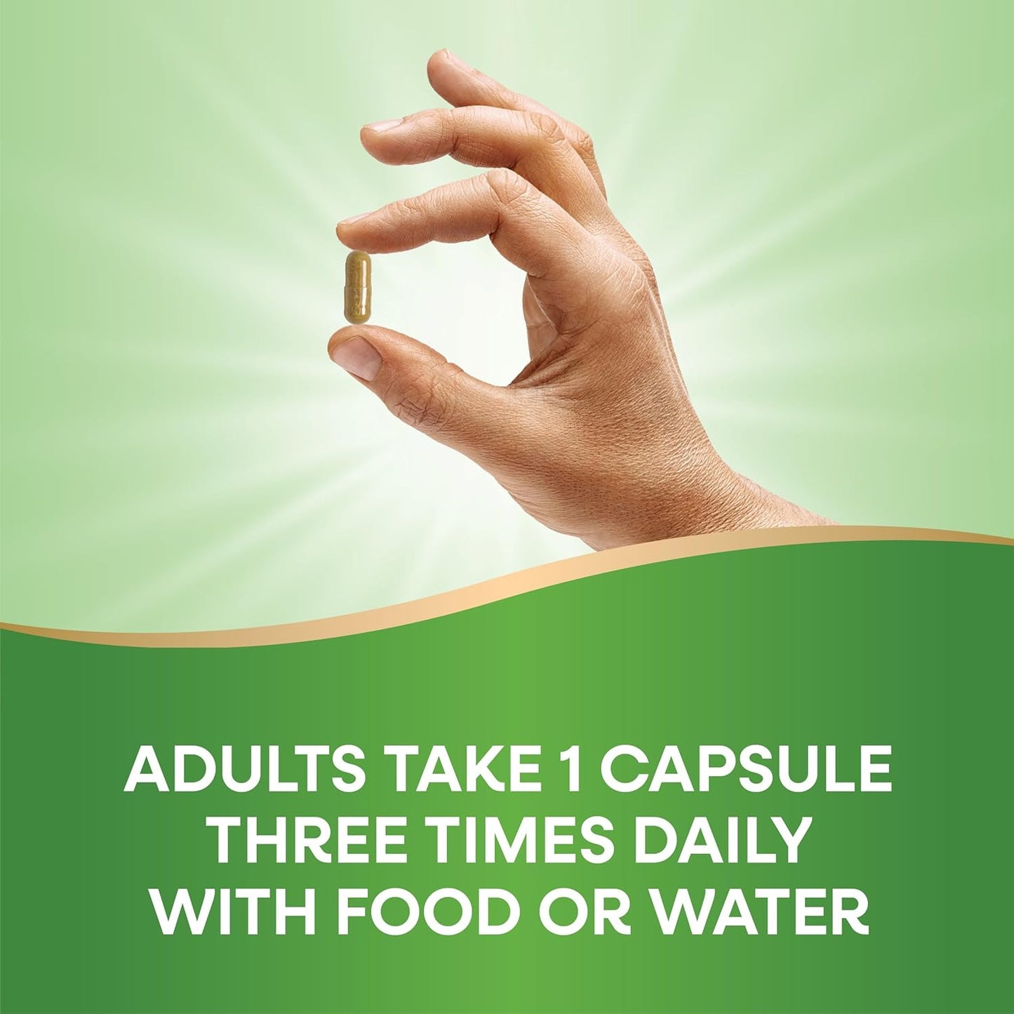 Premium Milk Thistle Blend with 80% Silymarin - 120 Capsules, Non-GMO Formula by Nature's Way