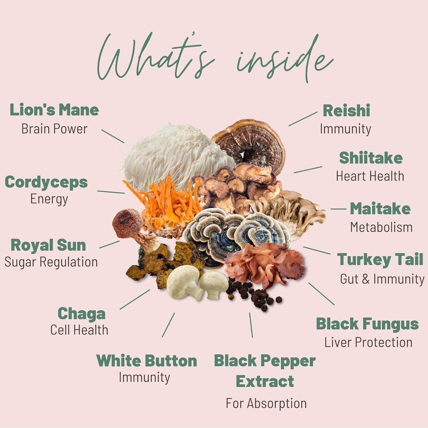 Premium Mushroom Supplement Capsules: Reishi, Chaga, Cordyceps, Shiitake & Lions Mane - 40-Day Supply (120 Capsules) - Pure Mushroom Extract Blend for Vitality & Wellness