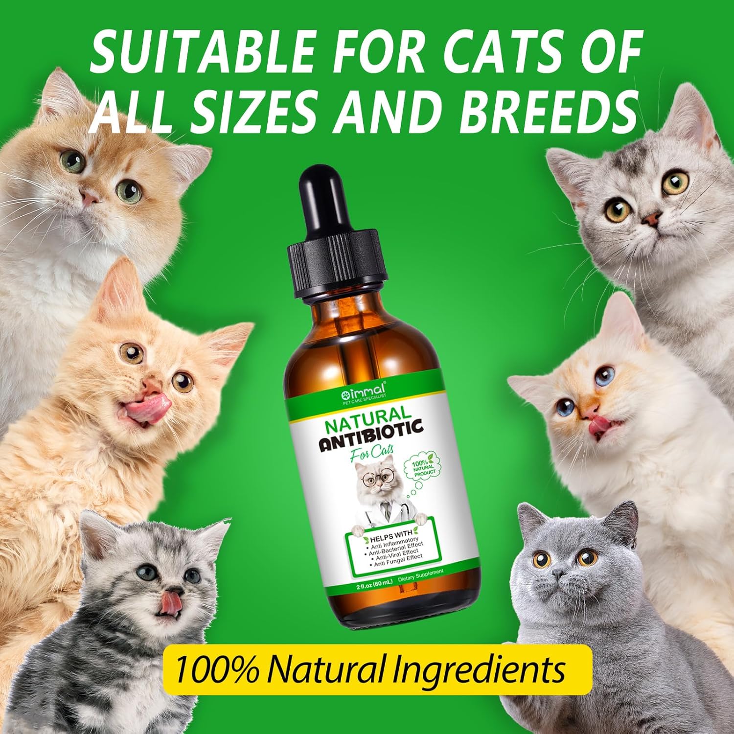 Premium Natural Antibiotic Supplement for Cats - Immune Support, Allergy Relief, Multivitamin - 2 Fl Oz / 60ML