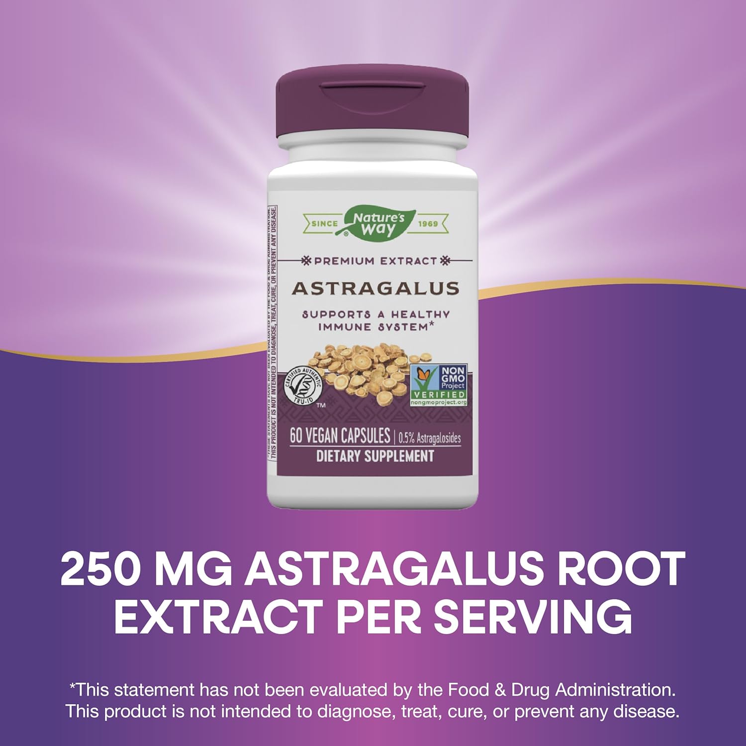 Premium Nature's Way Astragalus Root Extract - Immune Support - 60 Vegan Capsules