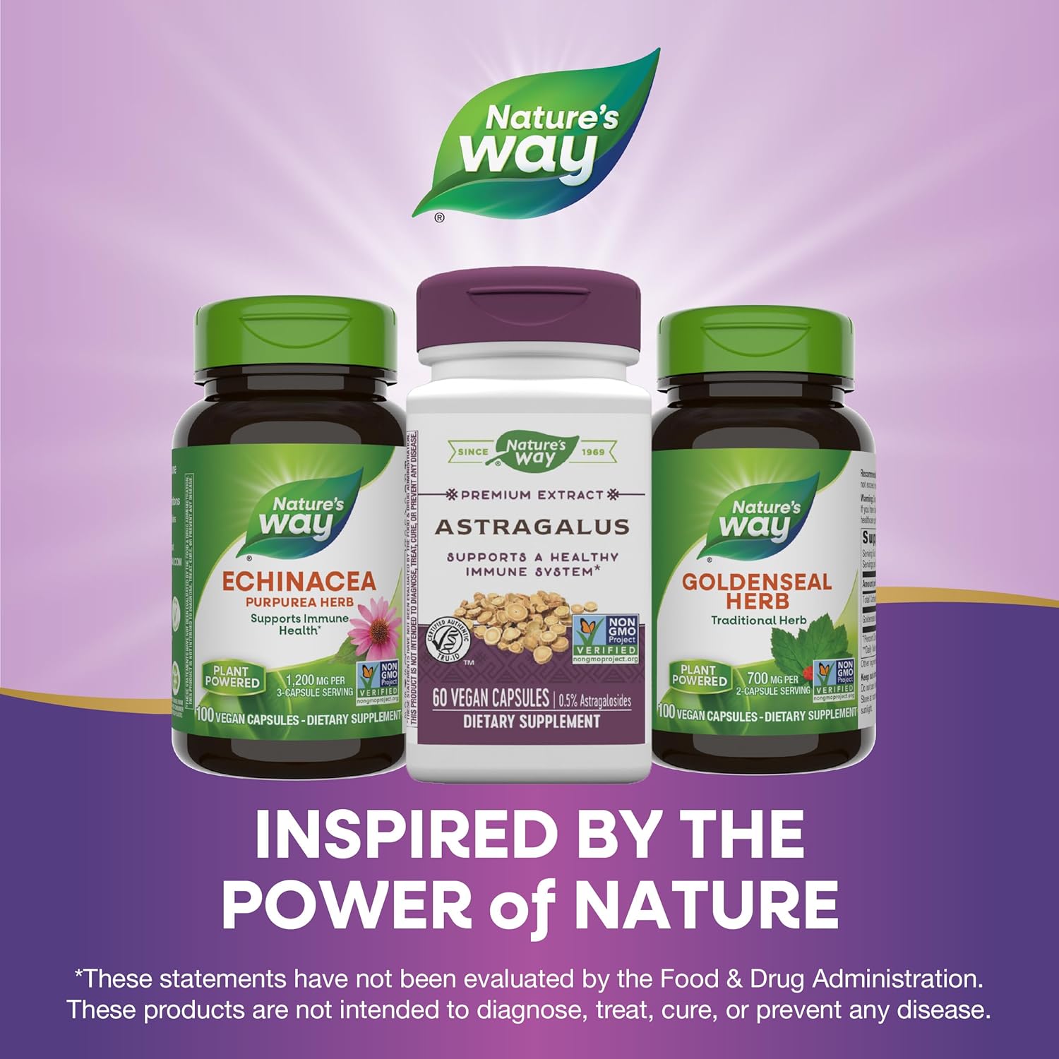 Premium Nature's Way Astragalus Root Extract - Immune Support - 60 Vegan Capsules