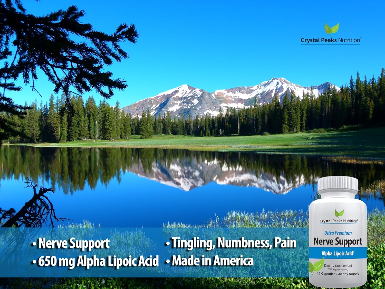 Premium Nerve Support Supplement with 650mg ALA Alpha Lipoic Acid - Natural Vitamins for Hands & Feet - Tingling, Numbness - 60 Capsules