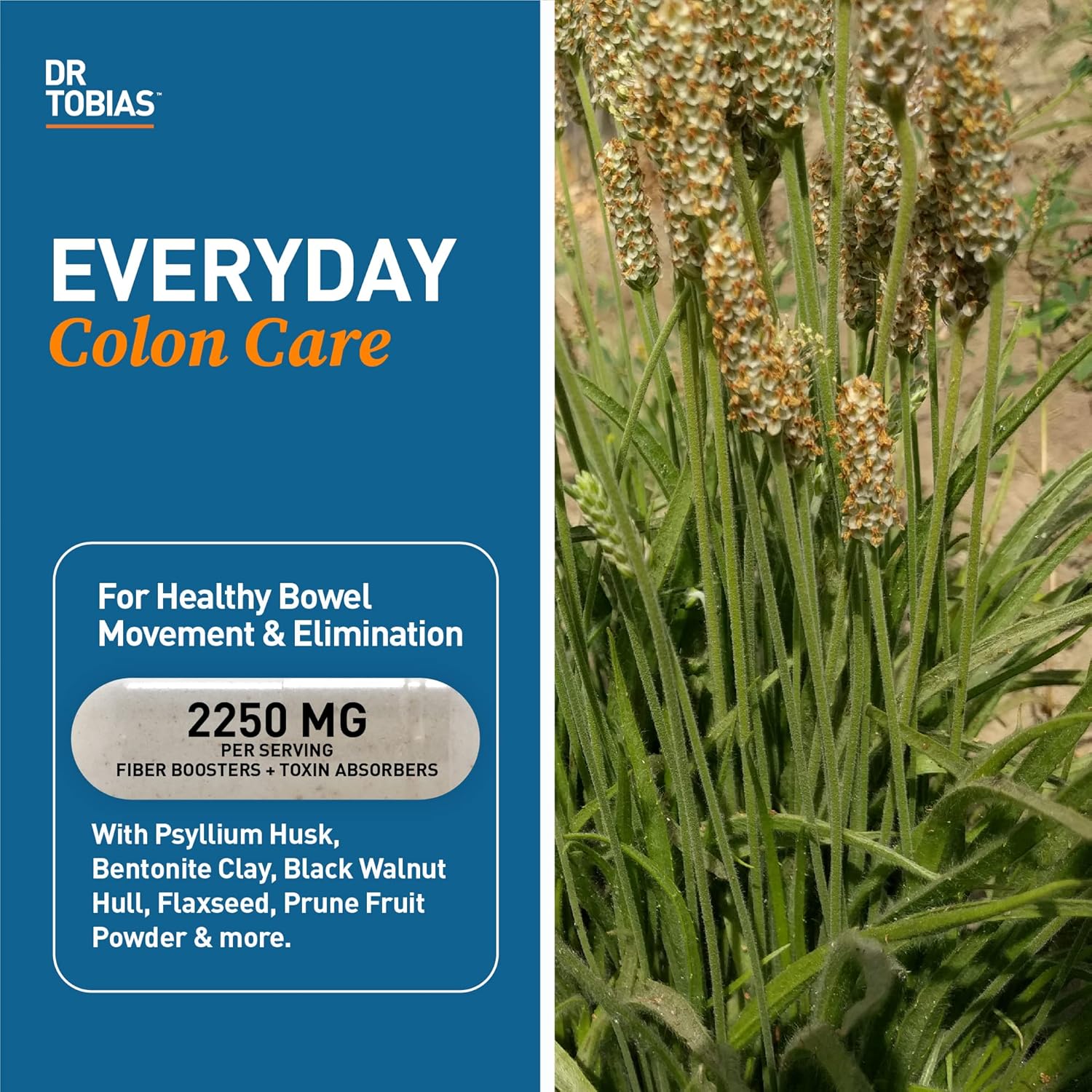 Premium Omega 3 Fish Oil and Psyllium Daily Supplement for Overall Health and Digestive Regularity - Non-GMO Formula