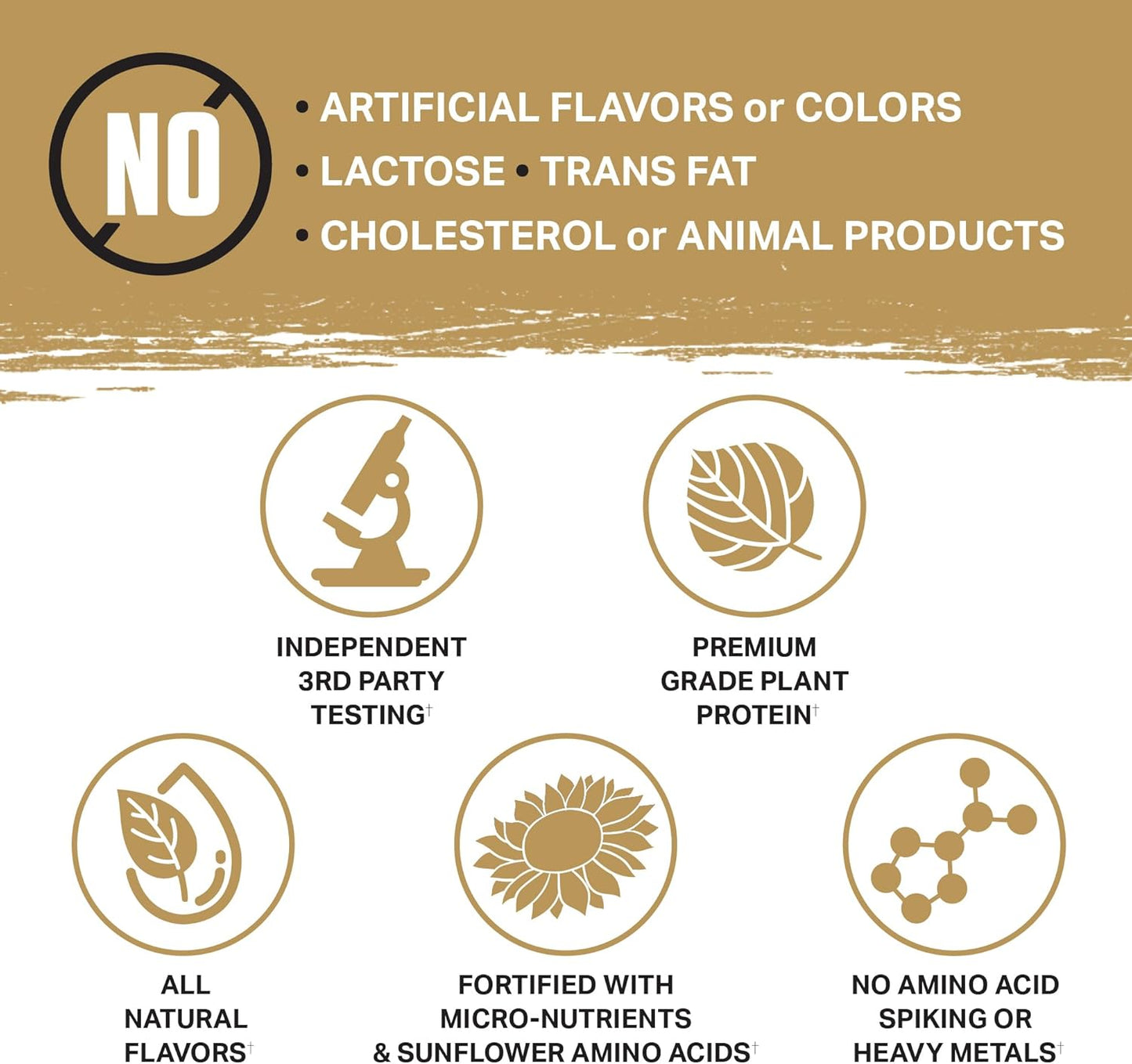 Premium Organic Plant-Based Protein Powder - Vegan & Keto Friendly with Gourmet Flavors | Ambrosia Planta - No Bloating, Gluten or Added Sugar | 25 Servings | Cookies Cream Flavor