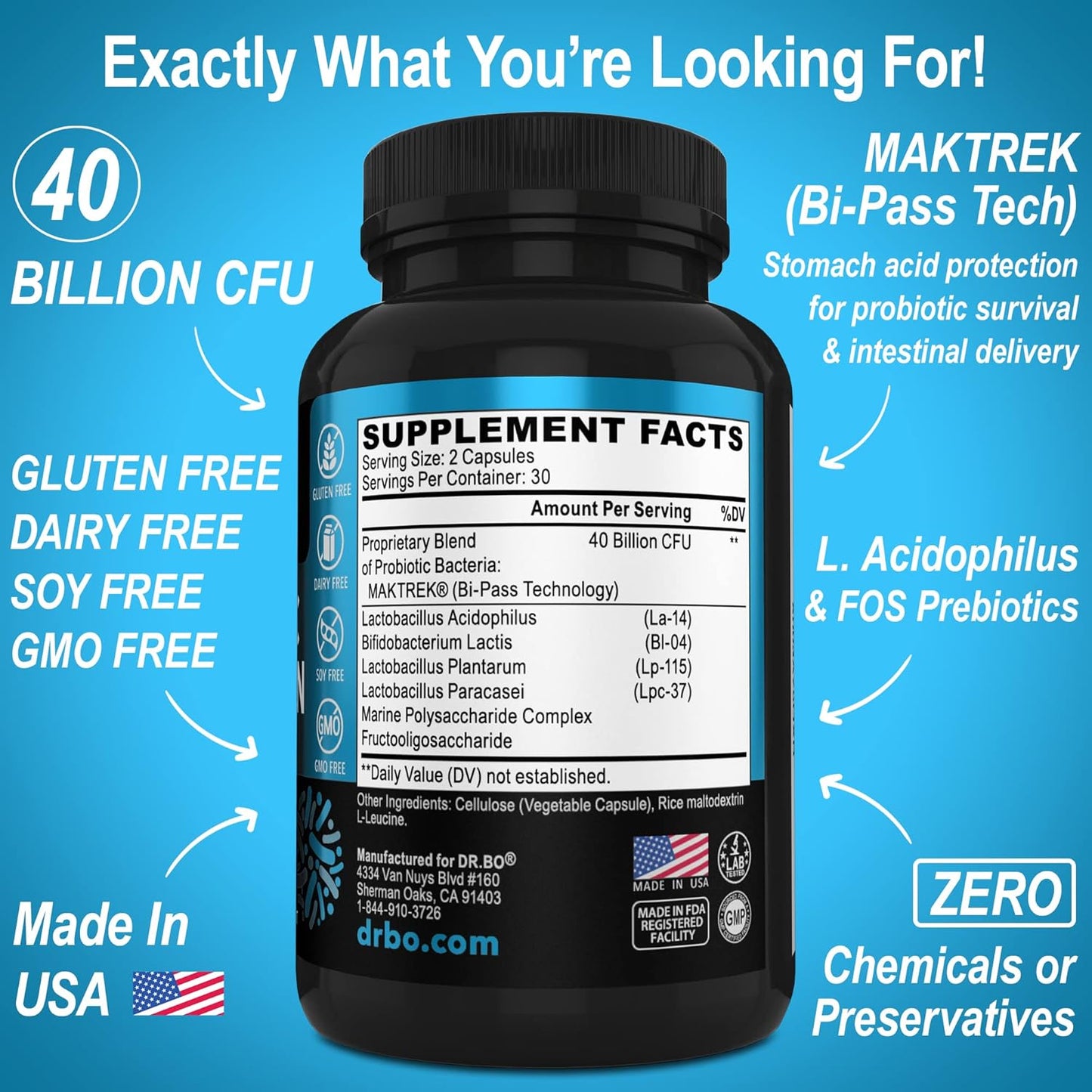 Premium Probiotic Supplement with 40 Billion CFU - Lactobacillus Acidophilus for Men & Women - Gluten Free Digestive Health Pills with Bifidobacterium - 60 Capsules
