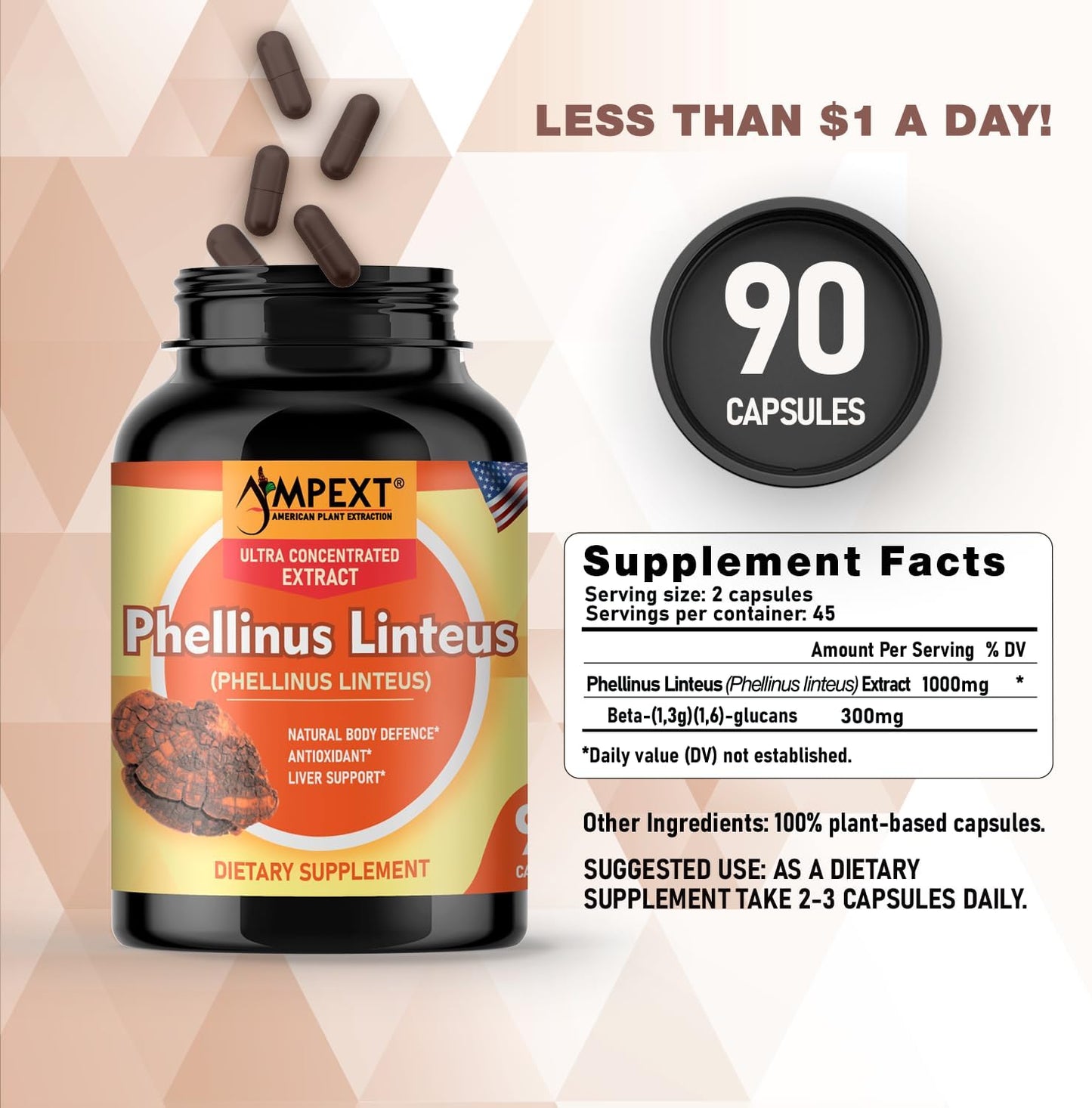 Premium Quality AMPEXT Phellinus linteus Mushroom Extract Capsules - Antioxidant, Immunity Booster, Liver Support - 90 Vegetarian Capsules