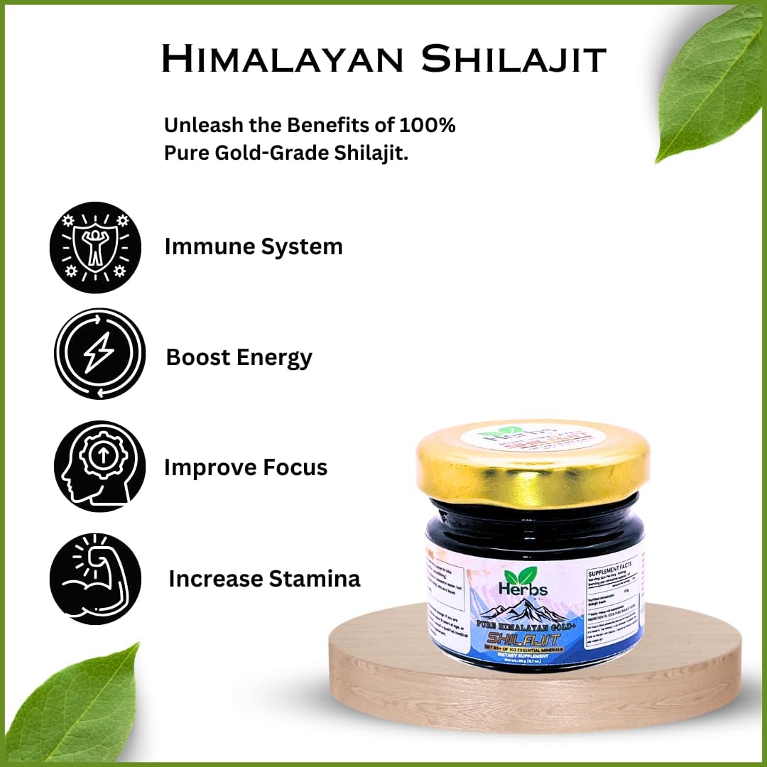 Premium Quality Himalayan Organic Shilajit Resin with 85+ Essential Minerals & High Fulvic Acid Content (20g) for Natural Energy Boost