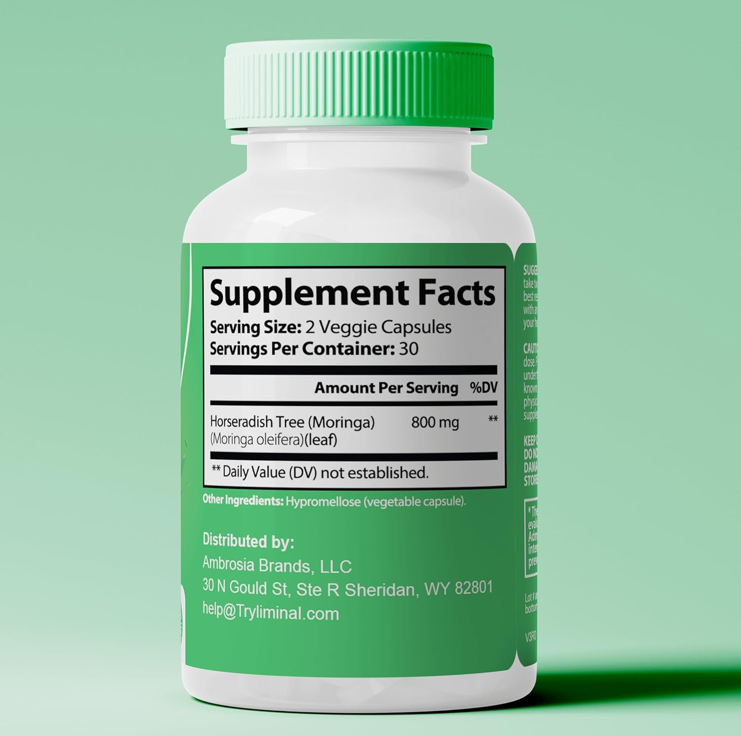 Premium Rosabella Moringa Powder Capsules for Energy, Skin & Gut Health - Natural Antioxidant Superfood with Essential Nutrients