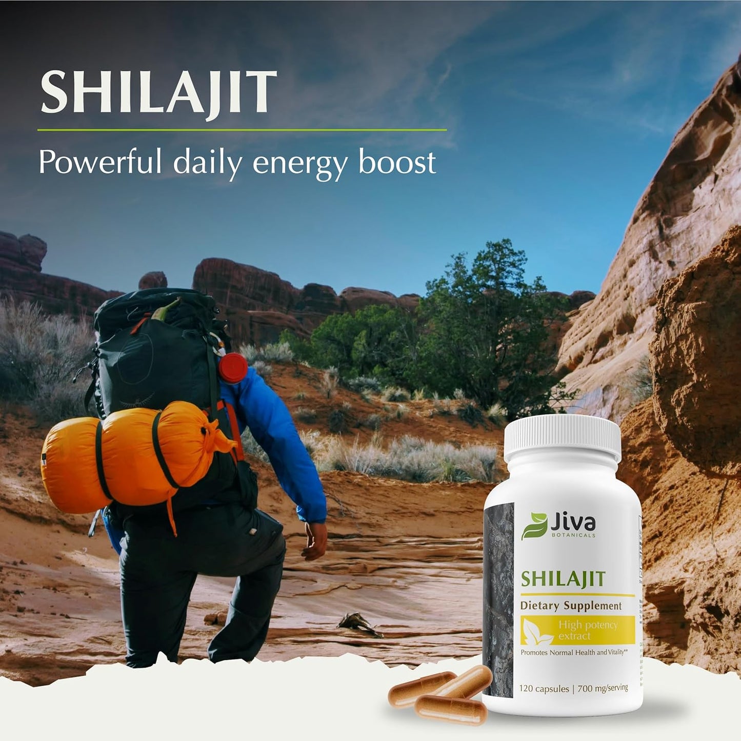 Premium Shilajit Supplement 700 mg Capsules - Immune Support & Digestive Health - Vegan Friendly - 120 Count