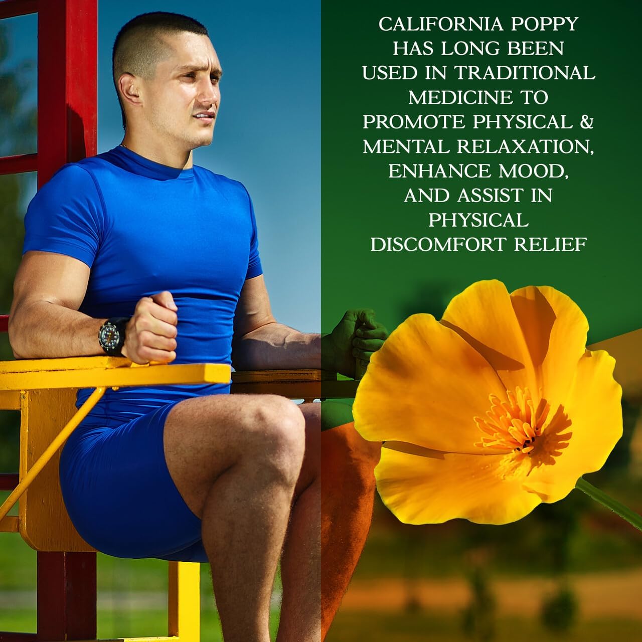 Premium Strength Parker Naturals Wild Lettuce Extract & California Poppy Seed Supplement - Herbal Sleep & Relief Support - 120 Capsules