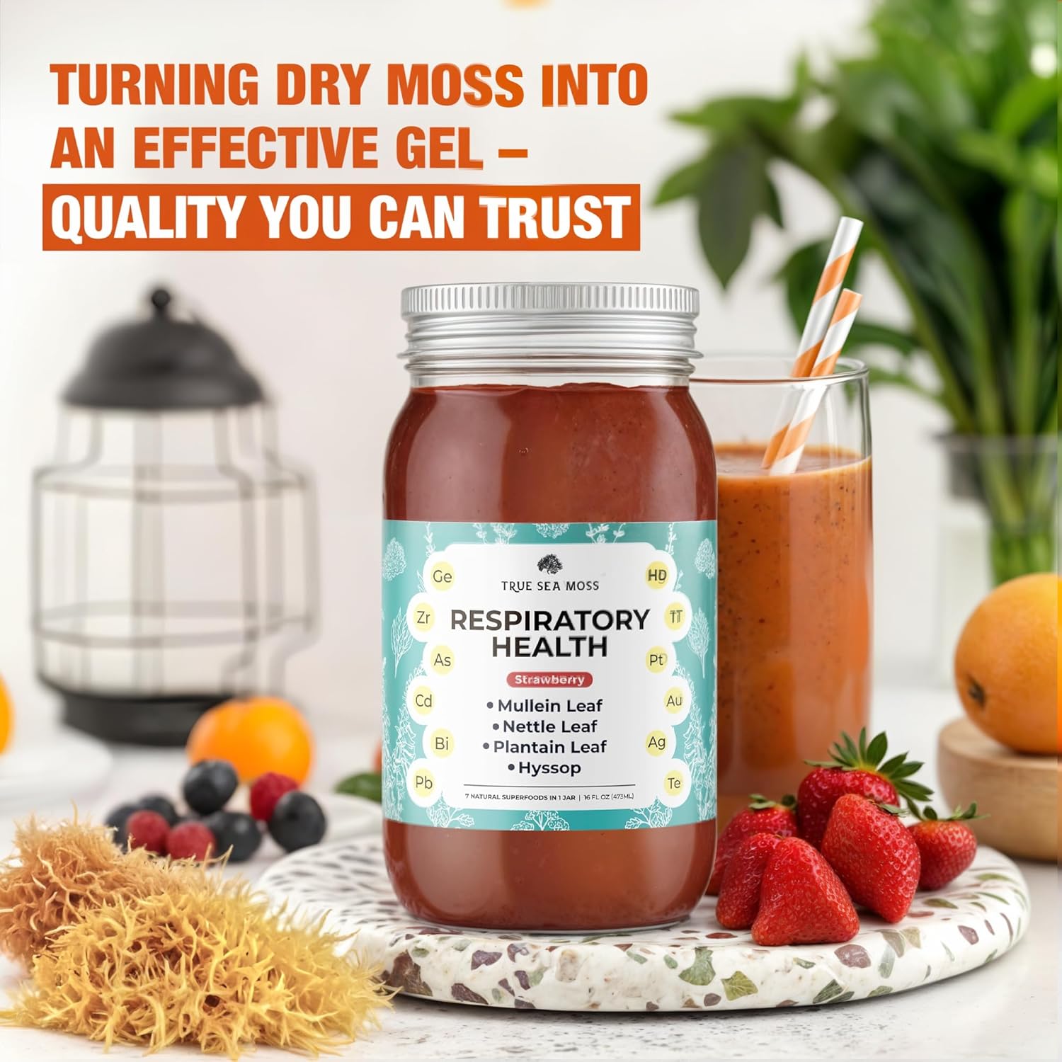 Premium TrueSeaMoss Gel for Respiratory Health - 5+ Fruit Flavors - Vegan-Friendly Supplement with Sea Moss, Potassium, Vitamins, and Minerals - Made in USA - Strawberry Flavor, Pack of 1