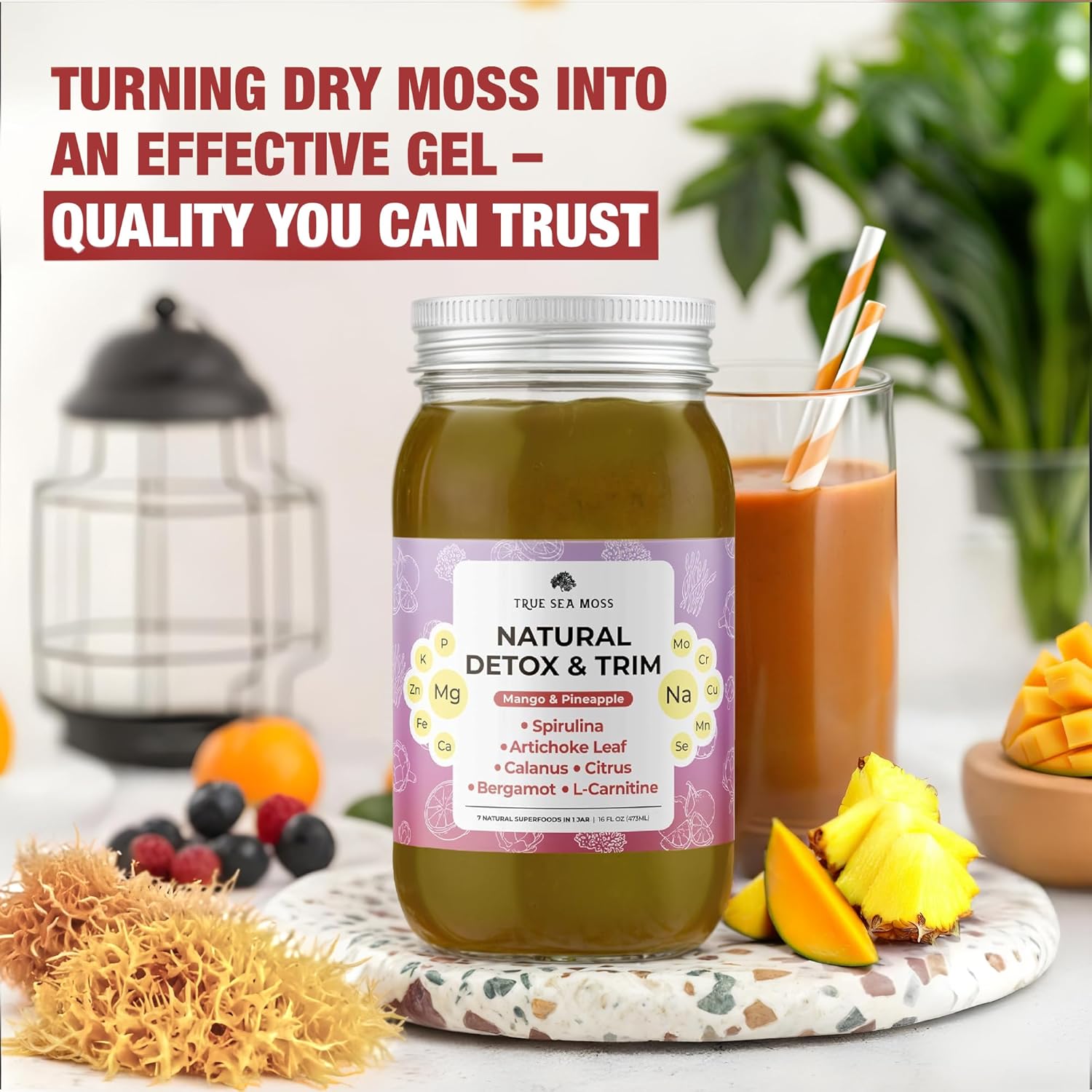 Premium TrueSeaMoss Pro-Line Gel - Natural Detox & Weight Management - 5 Delicious Flavors - Fruit Gel Infused with Sea Moss & Potassium - Vegan Supplement - USA-Made (Mango/Pineapple, 1 Pack)