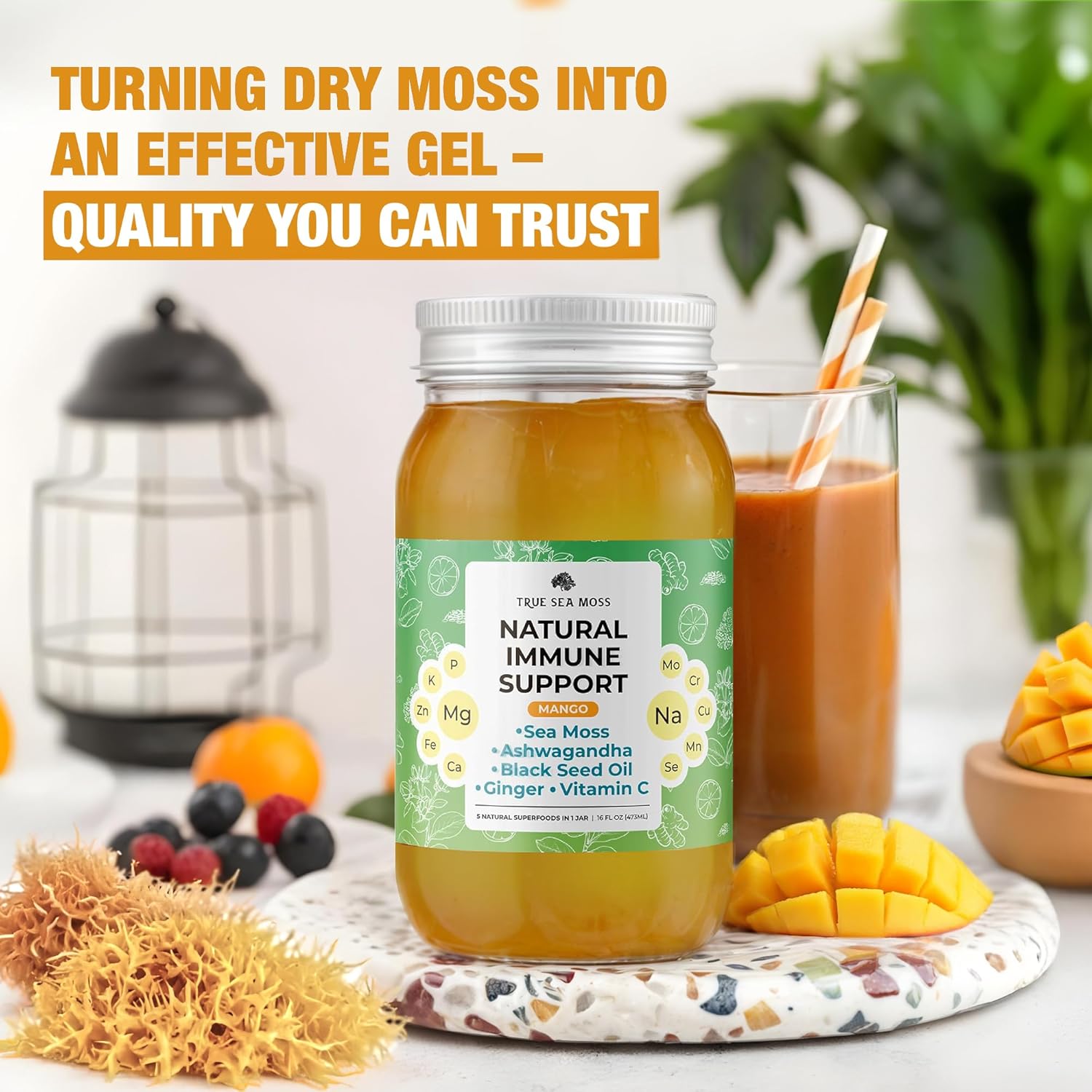 Premium TrueSeaMoss Pro-Line Mango Gel - Immune Support Supplement with Sea Moss & Potassium - Vegan-Friendly - Vitamin & Mineral Rich - Made in USA