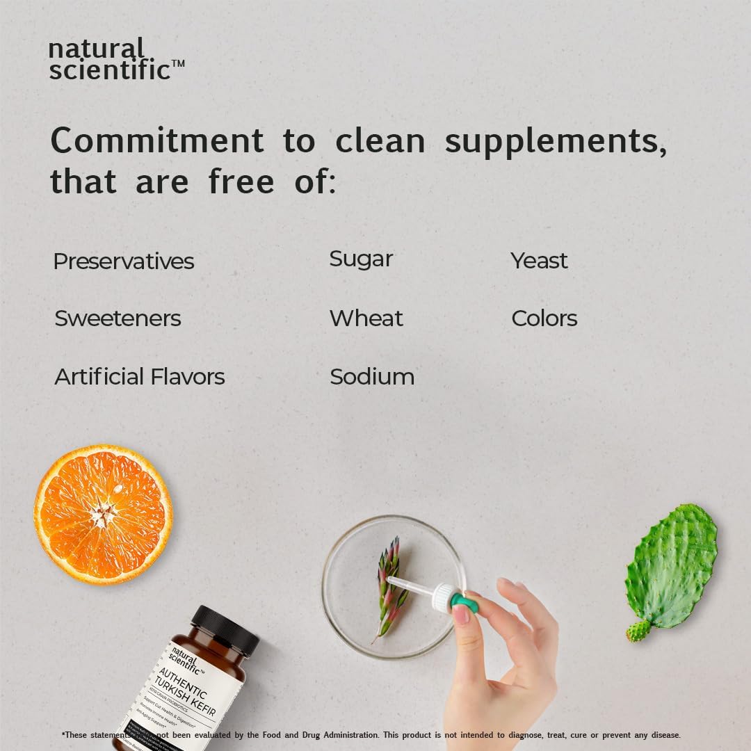 Premium Turkish Kefir Probiotic Capsules - 100 Billion CFU for Gut Health - Raw Grains with Prebiotics and Postbiotics - 60 Capsules