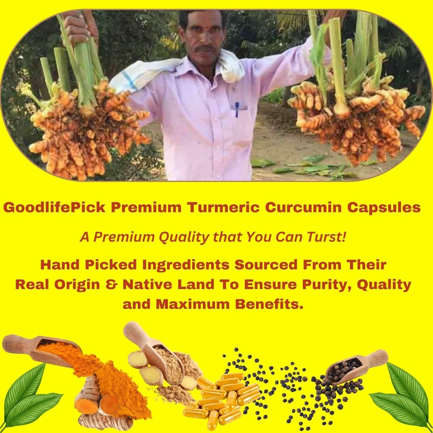 Premium Turmeric Capsules with Ginger and Black Pepper - 95% Curcuminoids - Non-GMO - 90ct Bottle